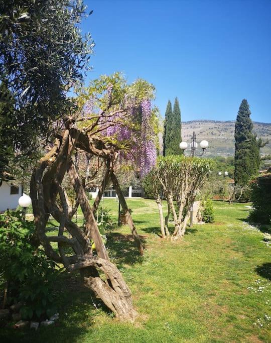 Villetta Blue Garden Sonnino Exterior photo
