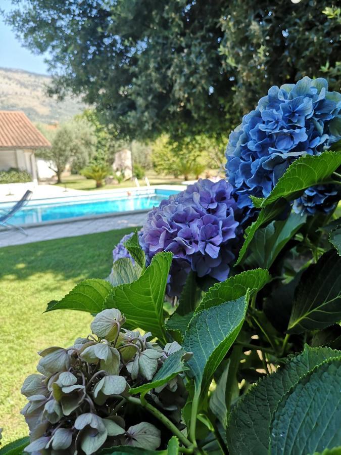 Villetta Blue Garden Sonnino Exterior photo