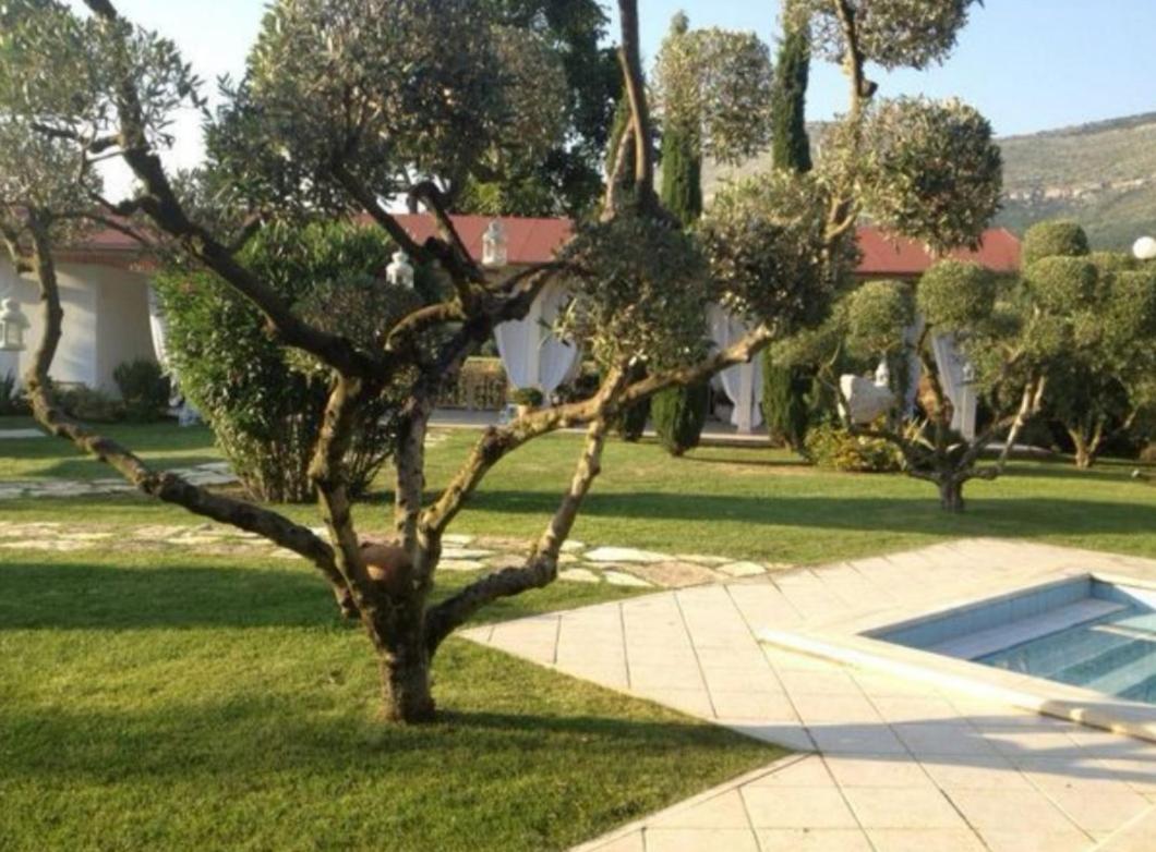 Villetta Blue Garden Sonnino Exterior photo