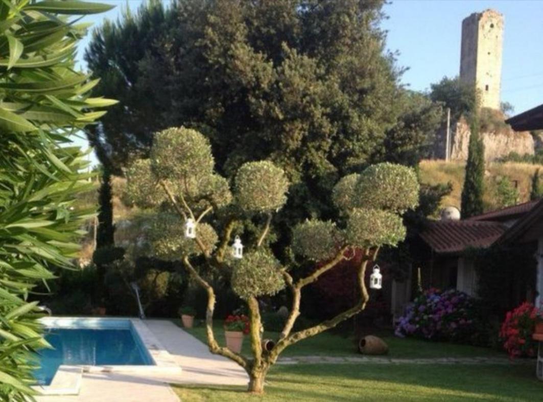 Villetta Blue Garden Sonnino Exterior photo