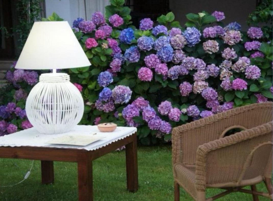 Villetta Blue Garden Sonnino Exterior photo